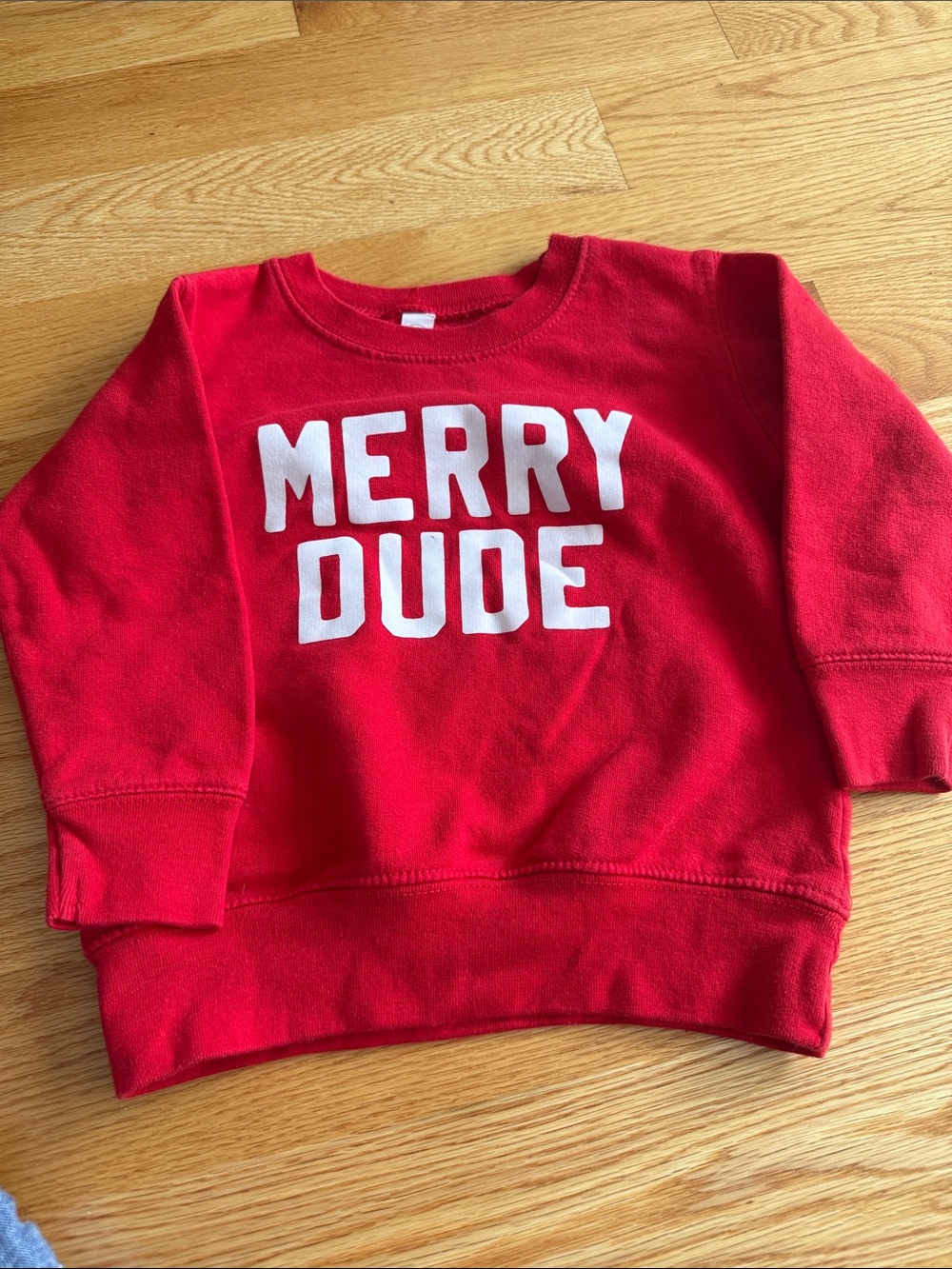 Rabbit Skins Red "MERRY DUDE" Kids Sweatshirt